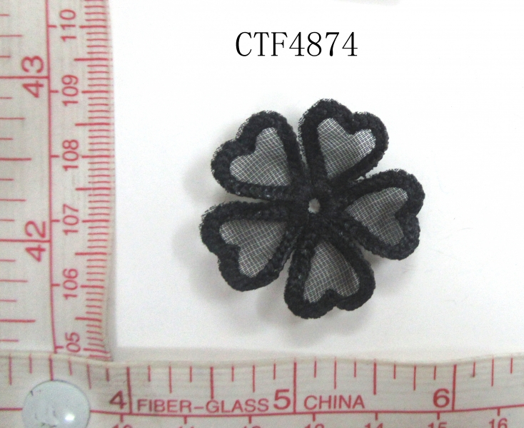 CTF4874