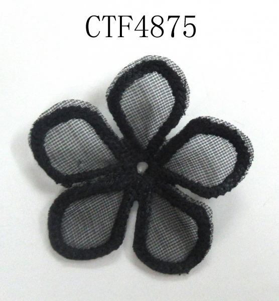 CTF4875