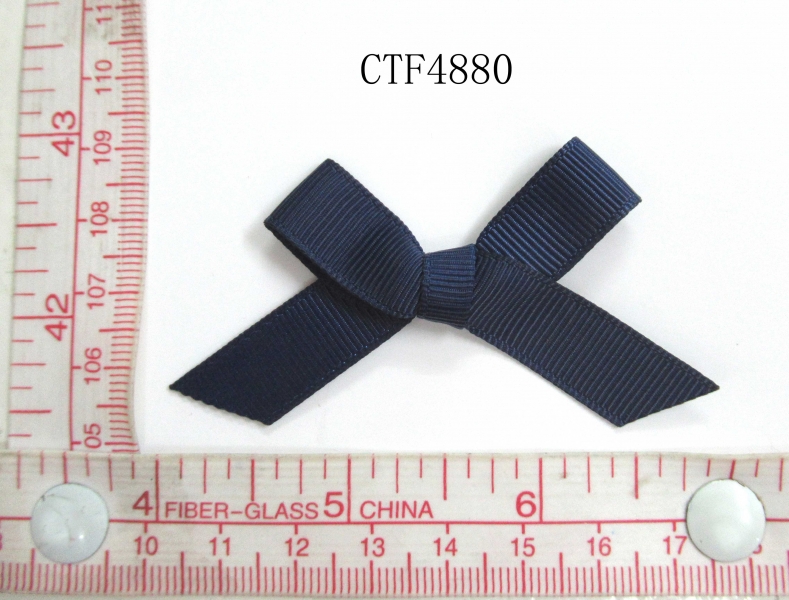 CTF4880
