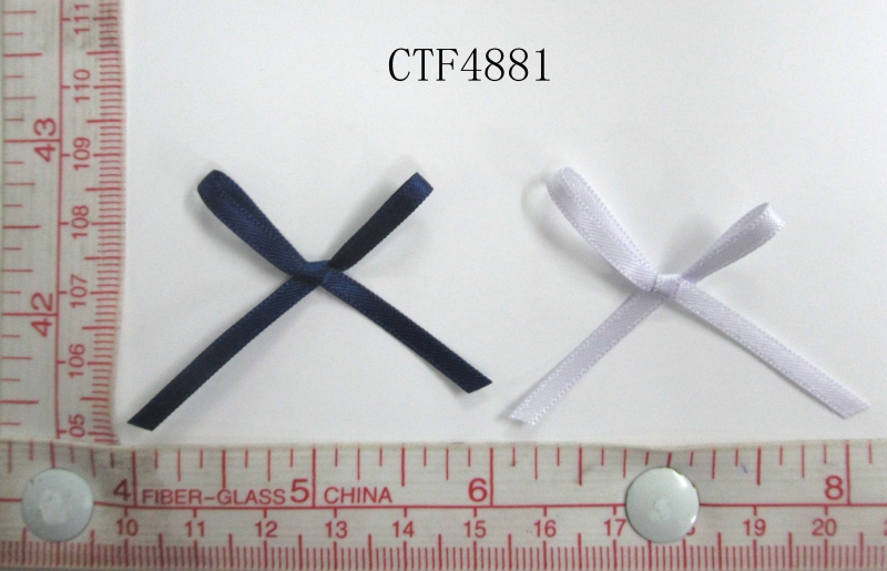 CTF4881