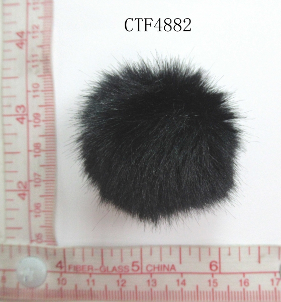 CTF4882