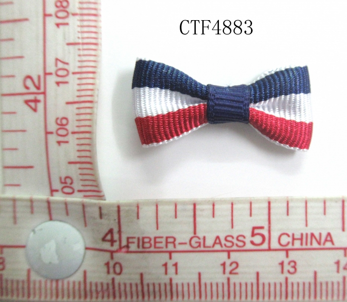 CTF4883