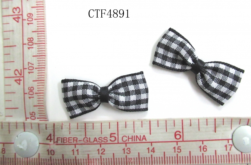 CTF4891