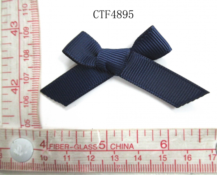 CTF4895