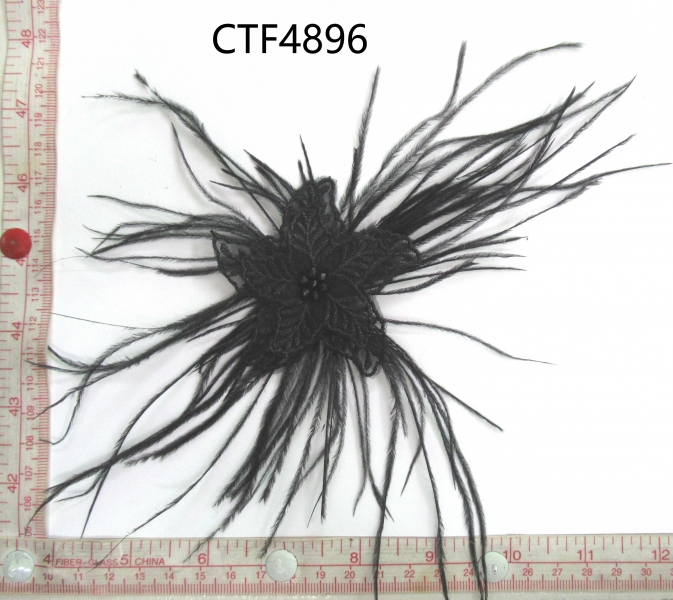 CTF4896