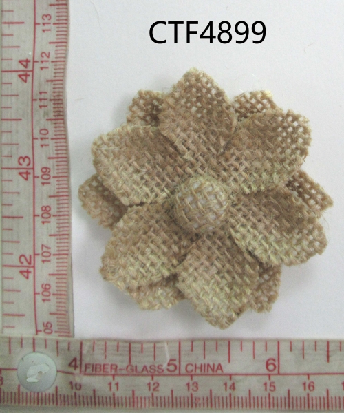 CTF4899
