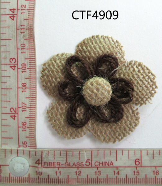 CTF4909
