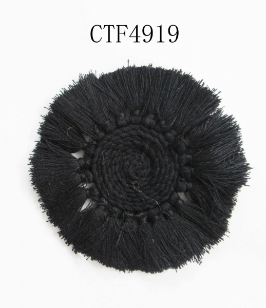 CTF4919