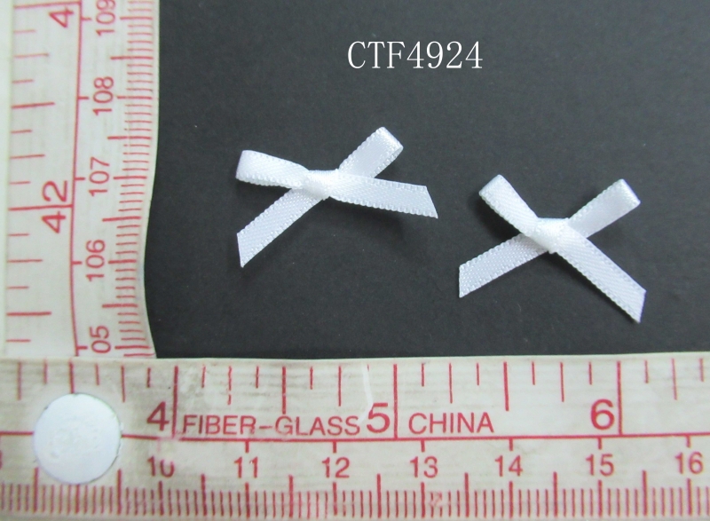 CTF4924