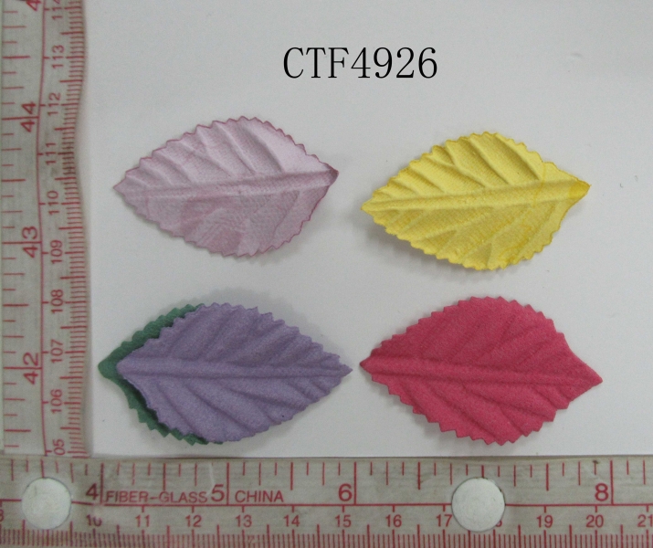 CTF4926