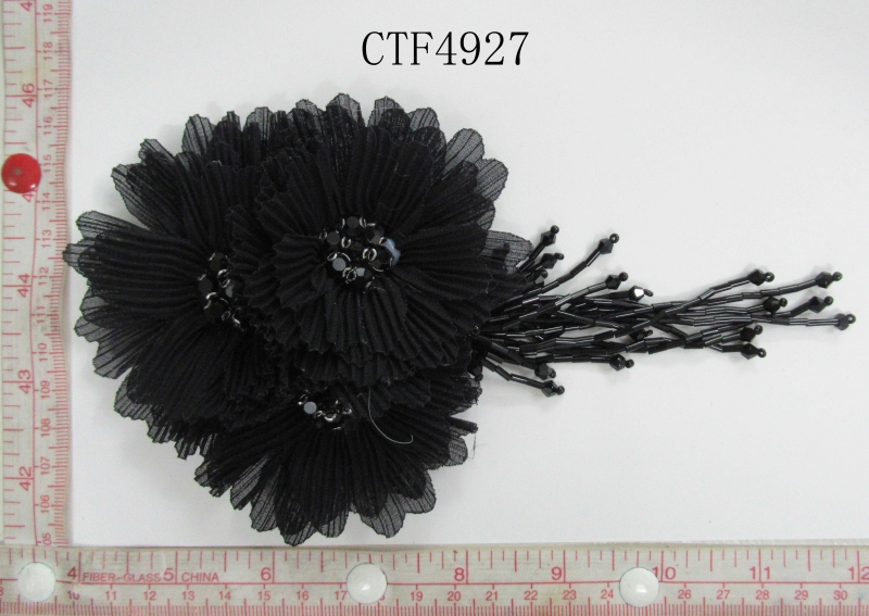 CTF4927