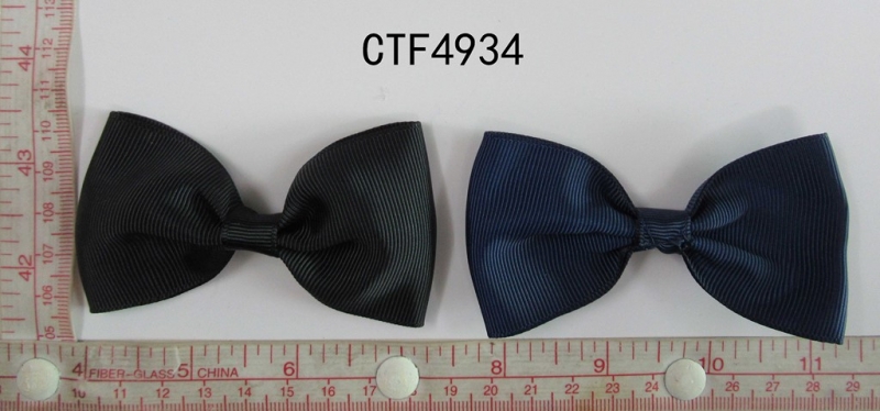 CTF4934