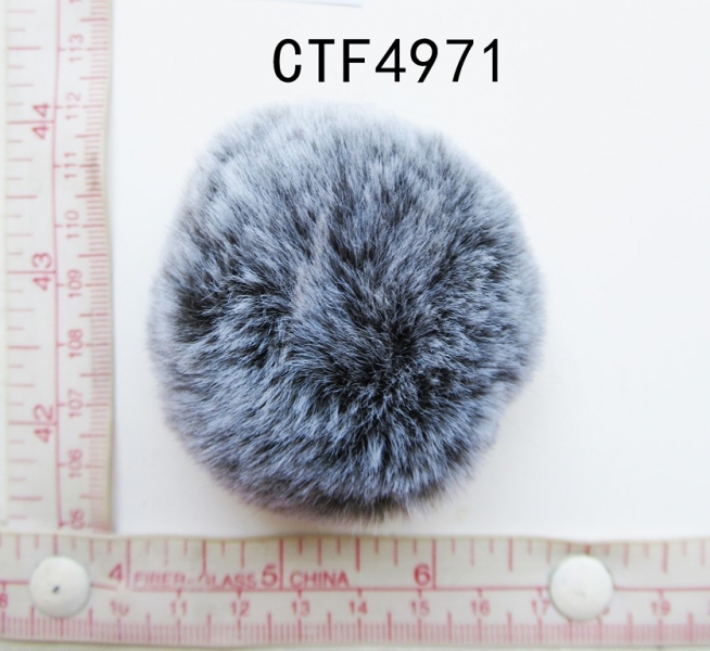 CTF4971