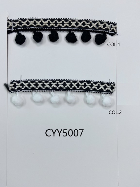 CYY5007