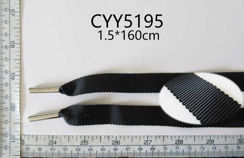 CYY5195