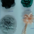 CTF2838-2841