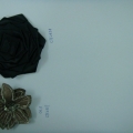 CTF2857-2858
