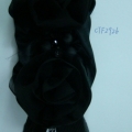 CTF2926