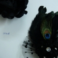 CTF3239-3240