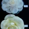 CTF3686-0687
