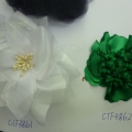CTF3861-62