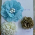 CTF3867-3869