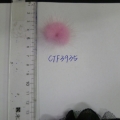 CTF3935