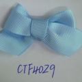 CTF4029