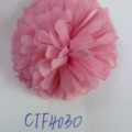 CTF4030