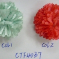 CTF4037