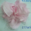 CTF4038