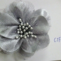 CTF4041