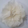 CTF4042