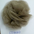 CTF4046