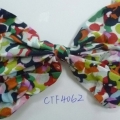CTF4062