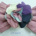 CTF4063