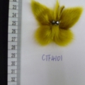 CTF4101