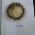 CTF4102