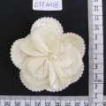 CTF4118