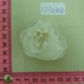 CTF4304