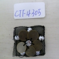 CTF4305