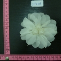 CTF4315