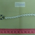 CTF4369