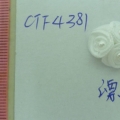 CTF4381