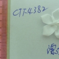CTF4382