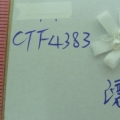 CTF4383