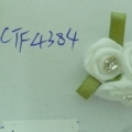 CTF4384