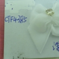 CTF4385