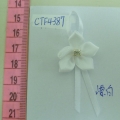 CTF4387