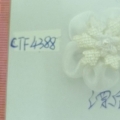 CTF4388